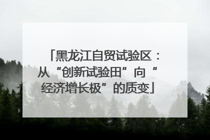 黑龙江自贸试验区：从“创新试验田”向“经济增长极”的质变