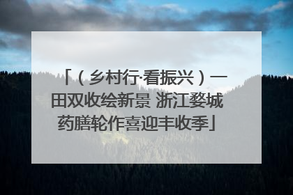 （乡村行·看振兴）一田双收绘新景 浙江婺城药膳轮作喜迎丰收季