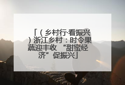 （乡村行·看振兴）浙江乡村：时令果蔬迎丰收 “甜蜜经济”促振兴