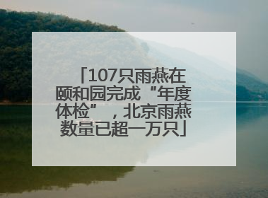 107只雨燕在颐和园完成“年度体检”，北京雨燕数量已超一万只