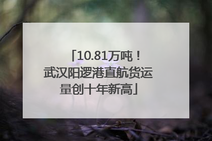 10.81万吨！武汉阳逻港直航货运量创十年新高