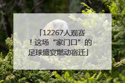 12267人观赛！这场“家门口”的足球盛宴燃动宿迁