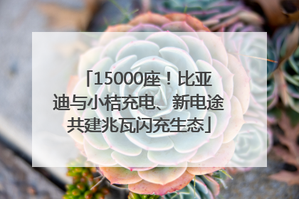 15000座！比亚迪与小桔充电、新电途共建兆瓦闪充生态