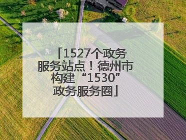 1527个政务服务站点！德州市构建“1530”政务服务圈