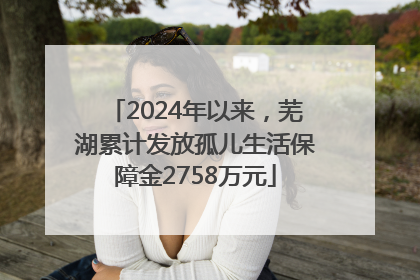 2024年以来，芜湖累计发放孤儿生活保障金2758万元