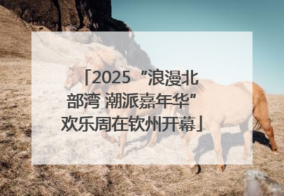 2025“浪漫北部湾 潮派嘉年华”欢乐周在钦州开幕