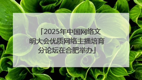 2025年中国网络文明大会优质网络主播培育分论坛在合肥举办