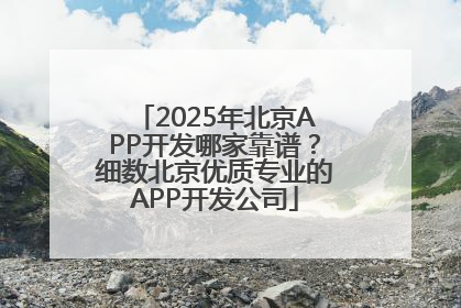 2025年北京APP开发哪家靠谱？细数北京优质专业的APP开发公司