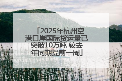 2025年杭州空港口岸国际货运量已突破10万吨 较去年同期提前一周