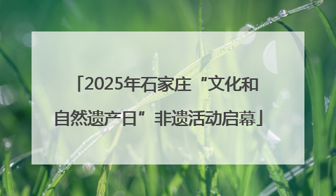 2025年石家庄“文化和自然遗产日”非遗活动启幕