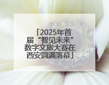 2025年首届“智见未来”数字文旅大赛在西安圆满落幕