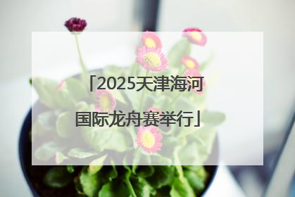 2025天津海河国际龙舟赛举行
