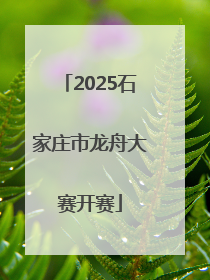 2025石家庄市龙舟大赛开赛