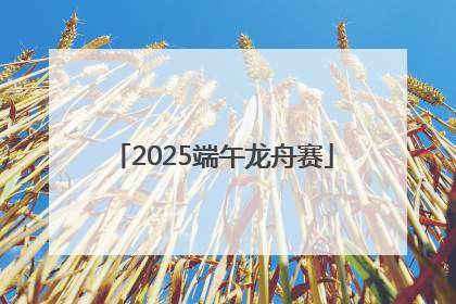 2025端午龙舟赛