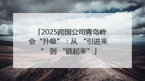 2025跨国公司青岛峰会“升级”：从 “引进来” 到 “链起来”