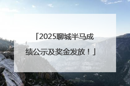 2025聊城半马成绩公示及奖金发放！