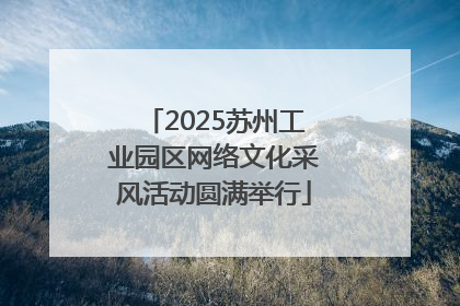 2025苏州工业园区网络文化采风活动圆满举行