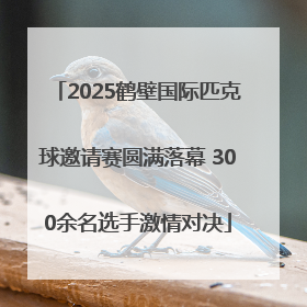 2025鹤壁国际匹克球邀请赛圆满落幕 300余名选手激情对决
