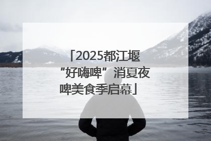 2025都江堰“好嗨啤”消夏夜啤美食季启幕