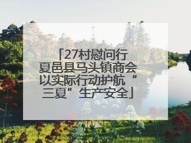27村慰问行 夏邑县马头镇商会以实际行动护航“三夏”生产安全