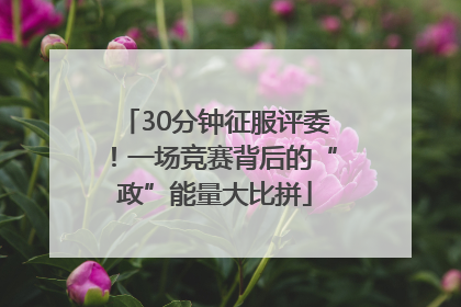 30分钟征服评委！一场竞赛背后的“政”能量大比拼