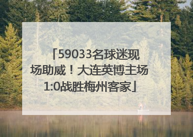 59033名球迷现场助威！大连英博主场1:0战胜梅州客家