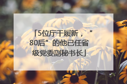 5位厅干履新，“80后”的他已任省级党委副秘书长