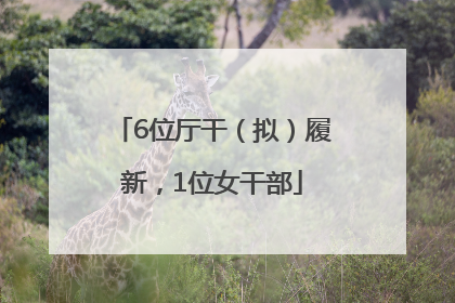 6位厅干（拟）履新，1位女干部