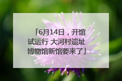 6月14日，开馆试运行 大河村遗址博物馆新馆要来了