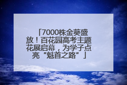 7000株金葵盛放！百花园高考主题花展启幕，为学子点亮“魁首之路”