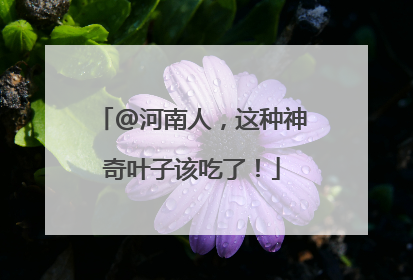 @河南人，这种神奇叶子该吃了！