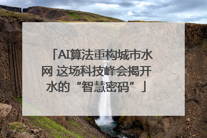 AI算法重构城市水网 这场科技峰会揭开水的“智慧密码”