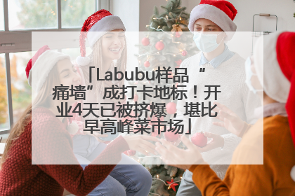 Labubu样品“痛墙”成打卡地标！开业4天已被挤爆，堪比早高峰菜市场