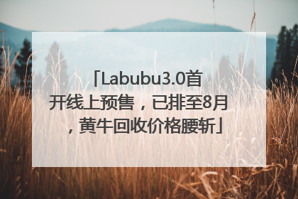 Labubu3.0首开线上预售，已排至8月，黄牛回收价格腰斩