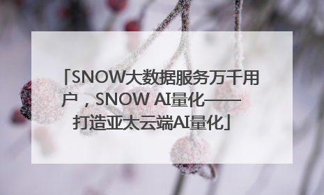 SNOW大数据服务万千用户，SNOW AI量化——打造亚太云端AI量化