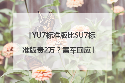 YU7标准版比SU7标准版贵2万？雷军回应